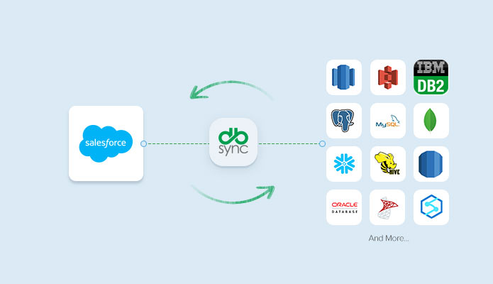 Salesforce data replication
